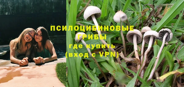 мяу мяу кристалл Богданович
