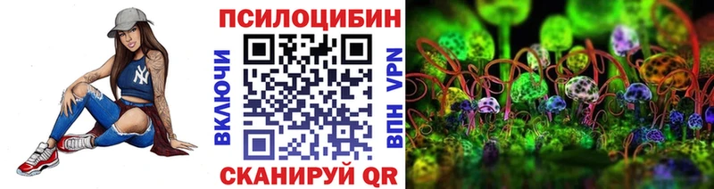 shop наркотические препараты  Реж  Псилоцибиновые грибы Psilocybine cubensis  где купить наркотик  блэк спрут ТОР 