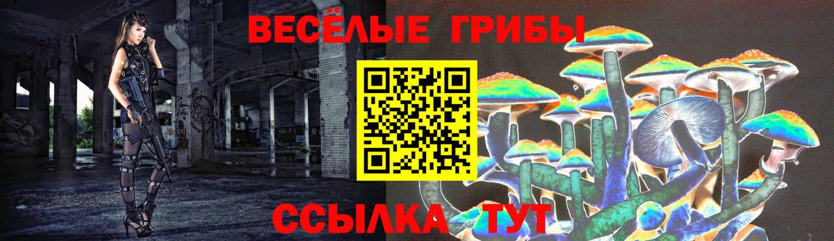 Реж  Галлюциногенные грибы Psilocybine cubensis  Вход с VPN  Псилоцибиновые грибы прущие грибы 